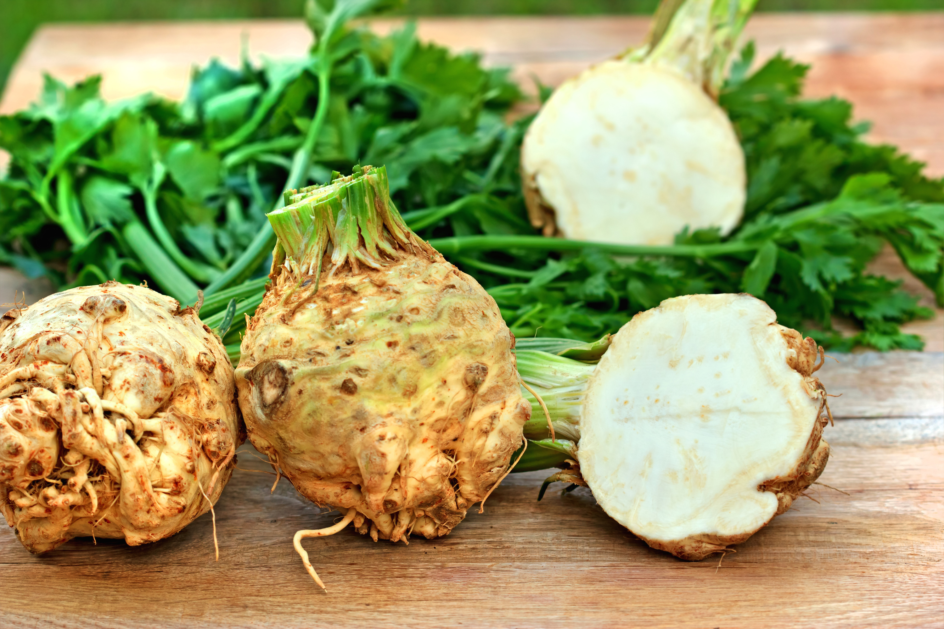 Celery Root Puree Side Dish A Menu For You Elevated Recipes For 