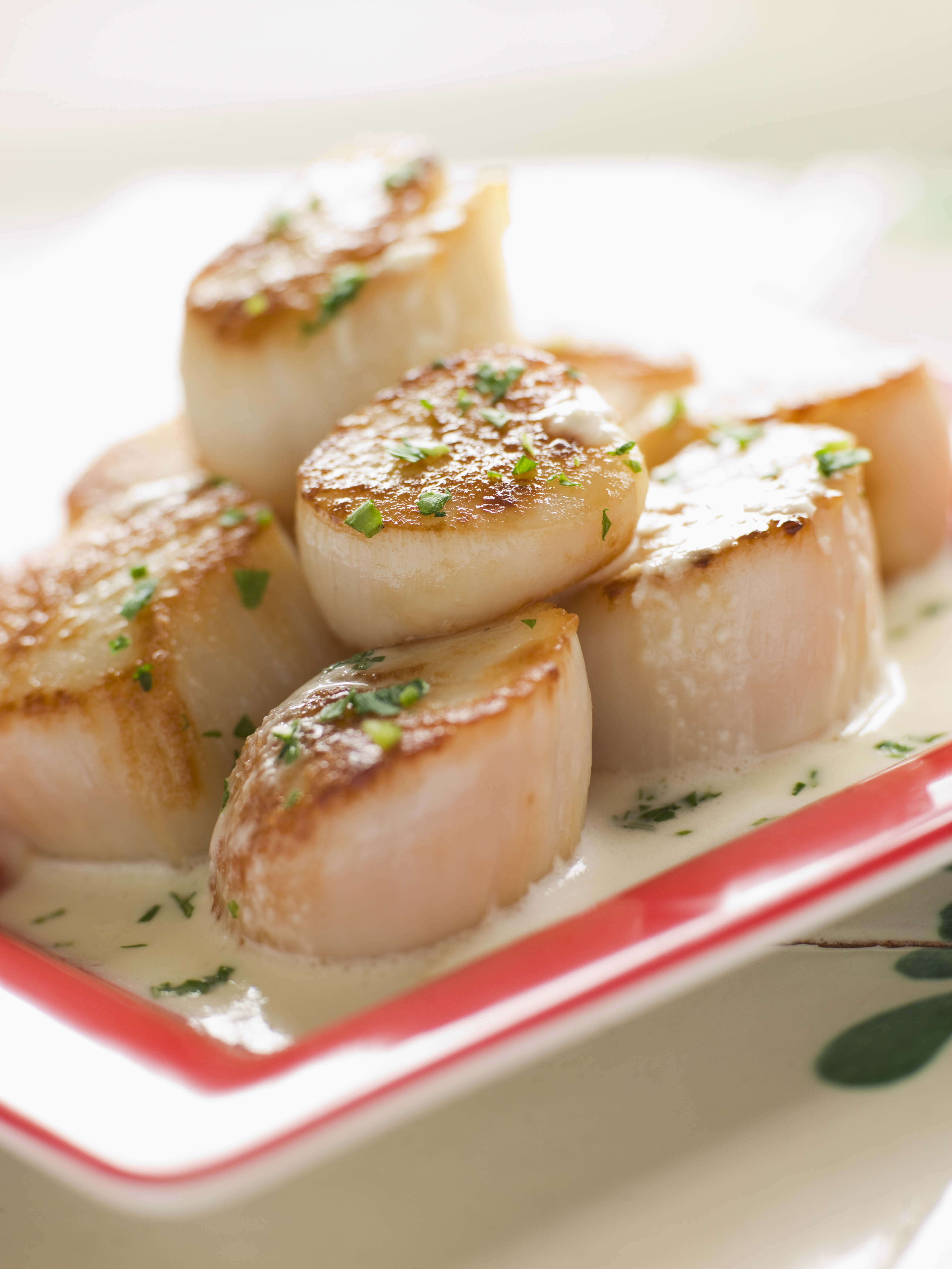 Seared Scallops with Tarragon Cream Sauce