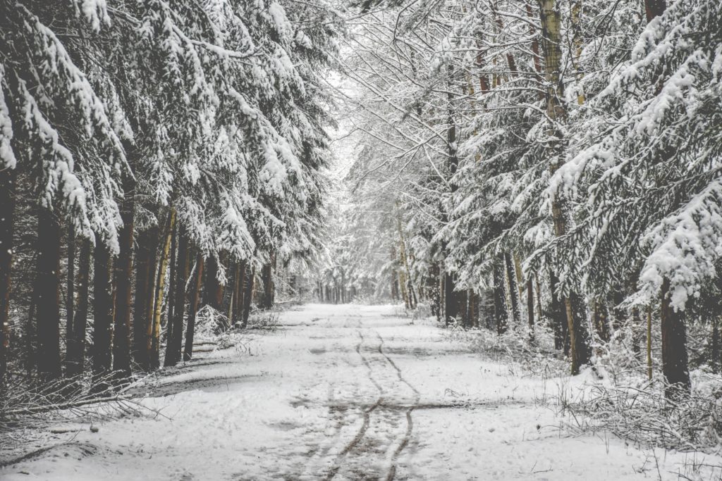Photo by Miroslav Škopek on Unsplash How to plan the perfectly imperfect holiday|focusing on what the holidays are really about, time with family and friends, embracing all the little moments, creating holiday moments and memories. If you're feeling stressed out about all the things you should be doing, this is the perfect article to bring you some holiday calm. Click to read more!