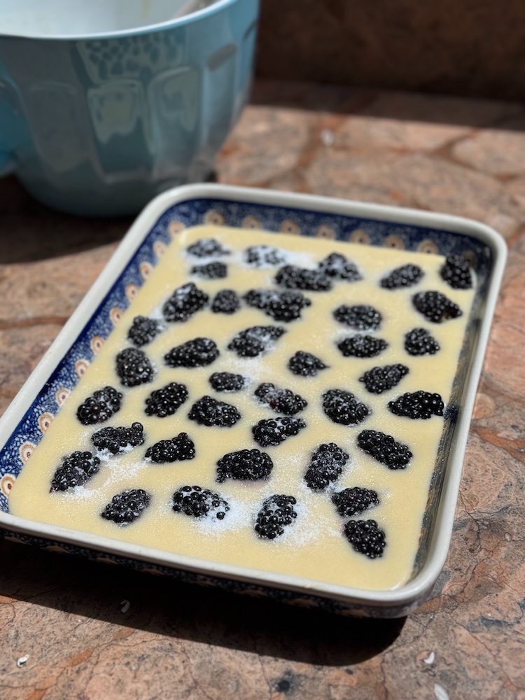 side photo of blackberry dump cake batter topped with blackberries, sprinkled with sugar in a baking dish on a counter with blue mixing bowl in background