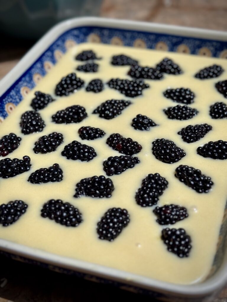 Side view of blackberry dump cake batter with blackberries on top in a baking dish