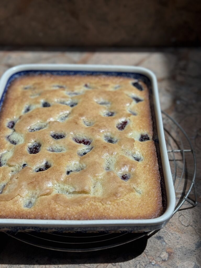 photo of baked blackberry dump cake on a wire rack on counter