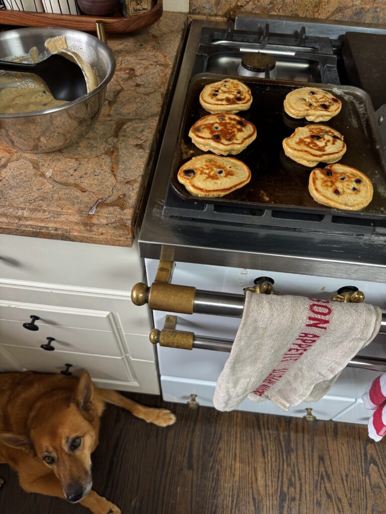 Overhead photo of kodiak pancakes cooking on a grill with dog on floor and bowl with batter on counter